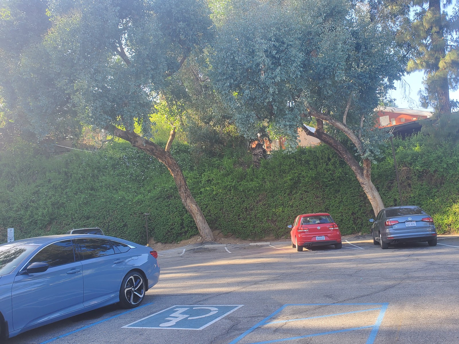 Exterior parking lot with three vehicles under mature shade trees and landscaping
