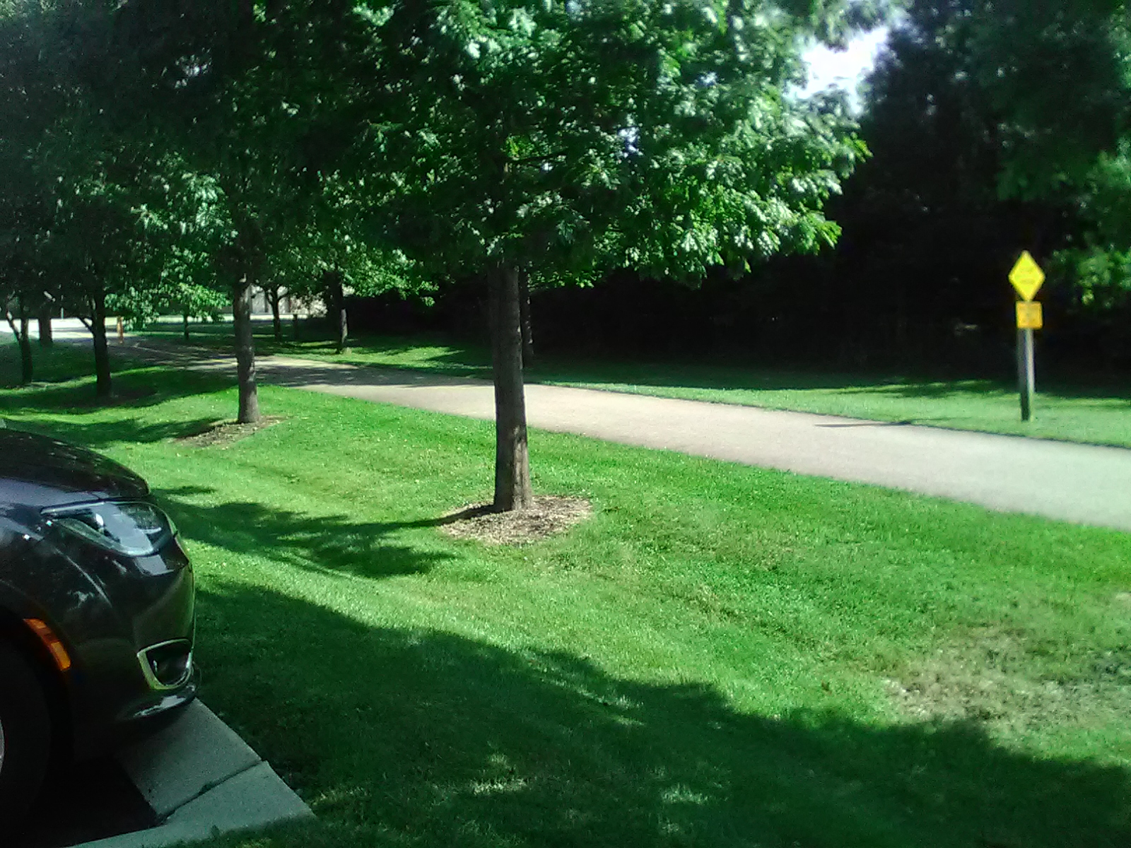 Outdoor pathway lined with mature shade trees and green lawn areas on facility grounds