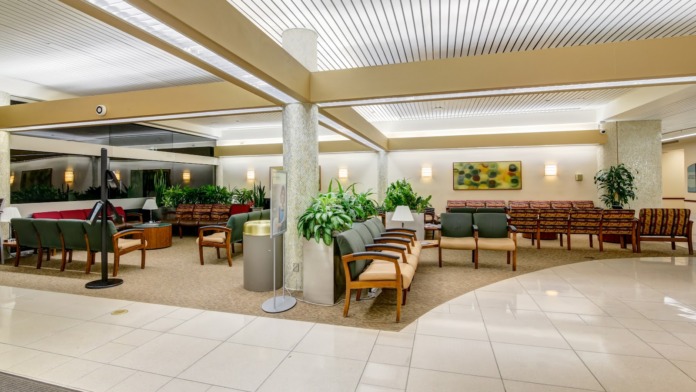 Interior common area with multiple seating zones, planted decorations, vaulted ceiling with skylighting and open floor layout