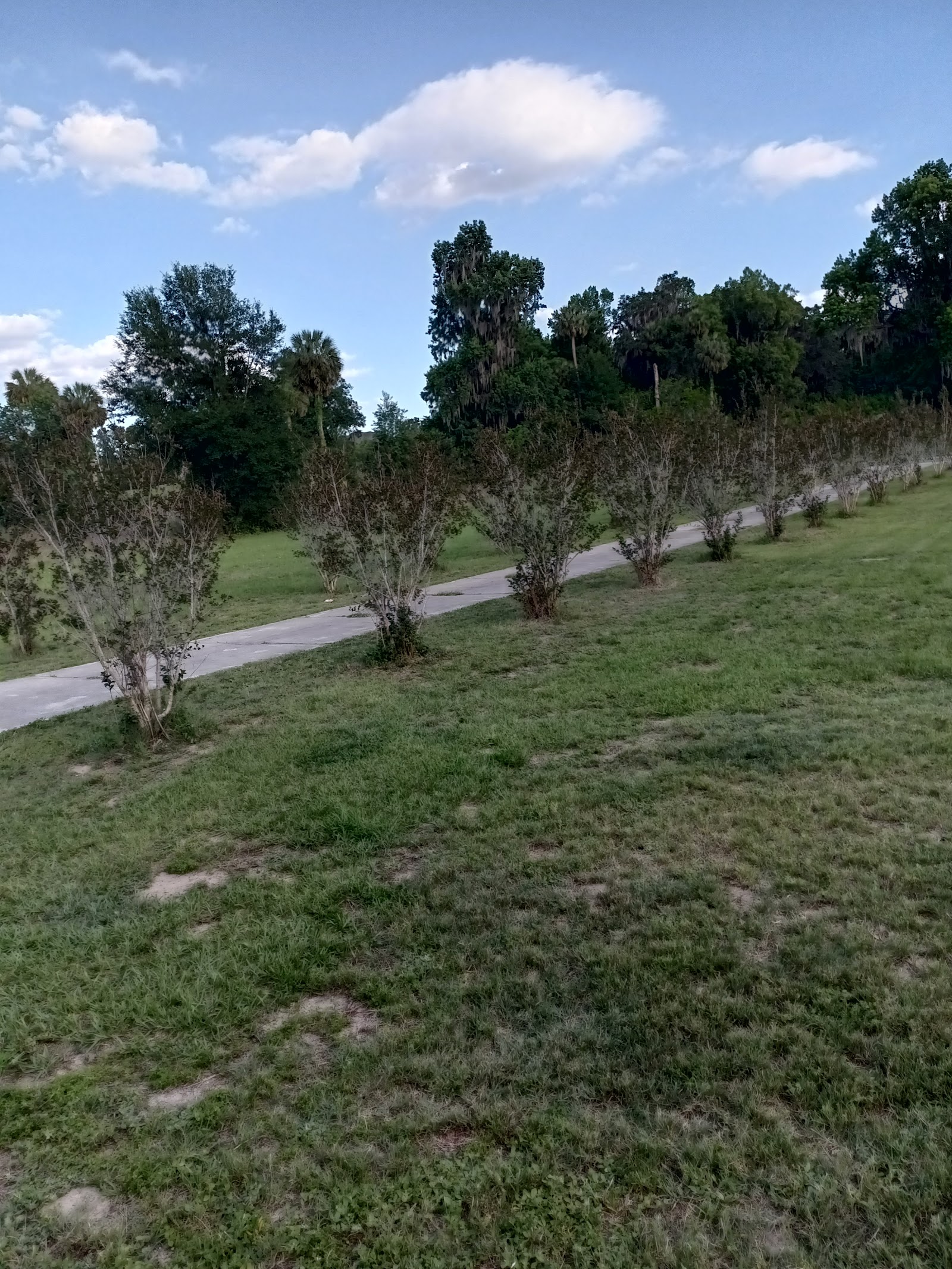 Outdoor pathway lined with young trees and open grass areas, designed for patient walking and recreation