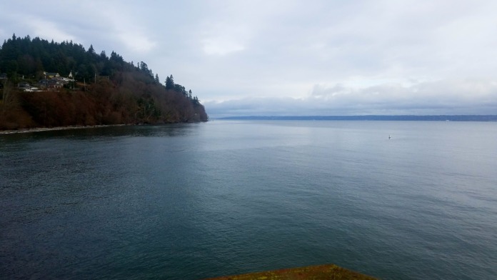 Exterior waterfront landscape showing calm bay water, forested shoreline, and scenic Pacific Northwest setting