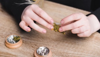 cannabis new york children