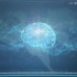 brain mapping