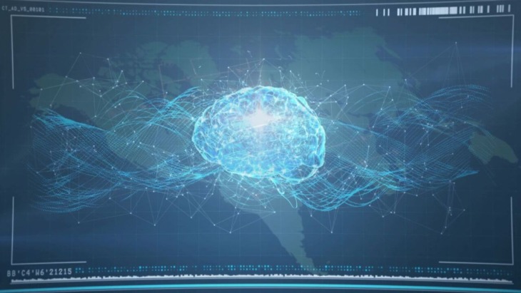 brain mapping