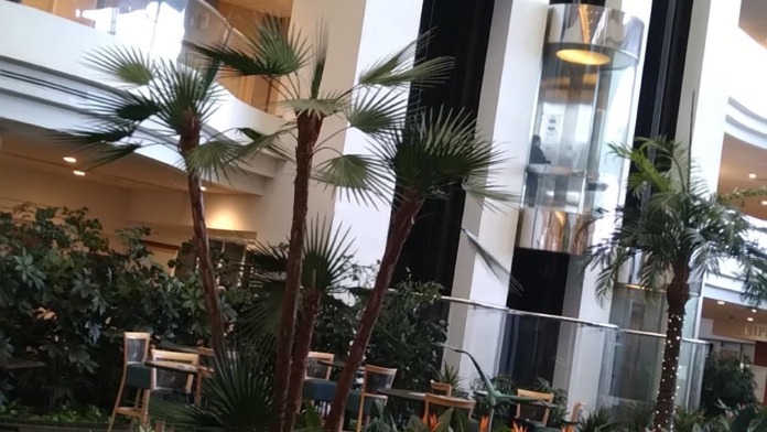Interior atrium featuring tall black columns, vibrant tropical flowering plants, palm trees, and multi-level architectural design