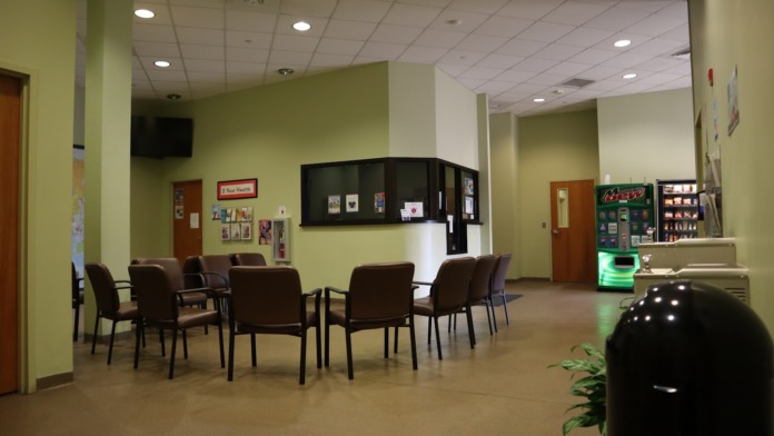 Interior lounge space with seating circles, display case, informational wall materials, and indoor plant décor for client use