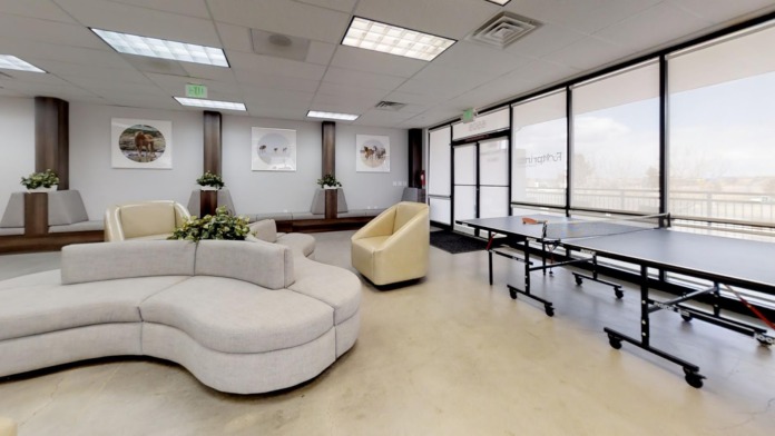 Interior lounge space with curved seating, framed wildlife artwork, large windows, and ping pong table
