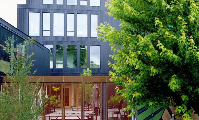 Detailed exterior view of modern building facade featuring dark corrugated metal, large window frames, and wooden entry door with ivy vegetation.