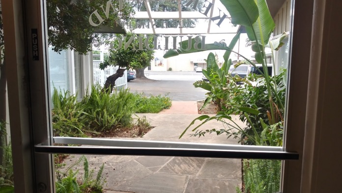 Interior view through glass doors showing landscaped entry area with plants and courtyard beyond