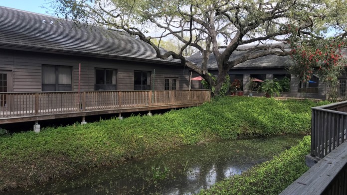 Exterior courtyard showing modular buildings with wooden railings, mature oak tree, manicured grounds, and water feature