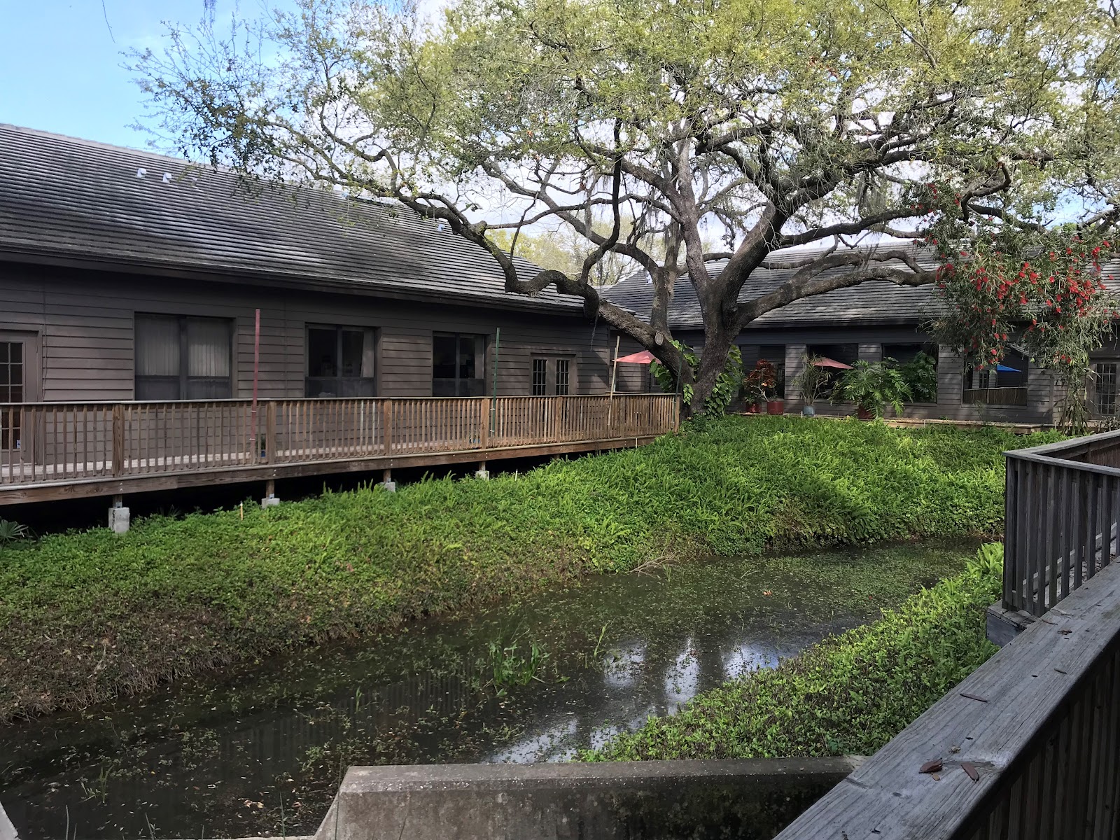 Exterior courtyard showing modular buildings with wooden railings, mature oak tree, manicured grounds, and water feature