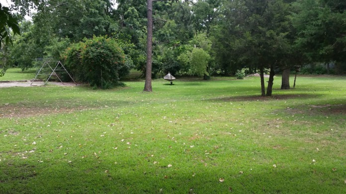 Outdoor grounds showing open lawn, mature trees, and recreational play structure
