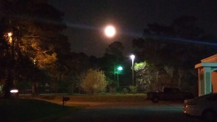 Exterior evening view of building with outdoor lighting, landscaped grounds, and forested surroundings