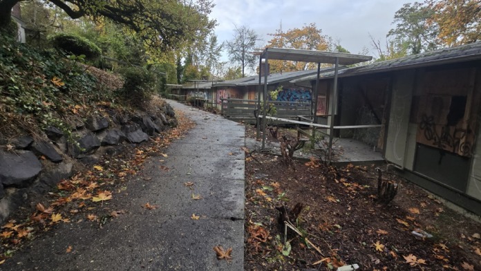 Exterior view showing paved pathway between residential buildings with covered walkways, autumn leaves, and mature tree canopy overhead