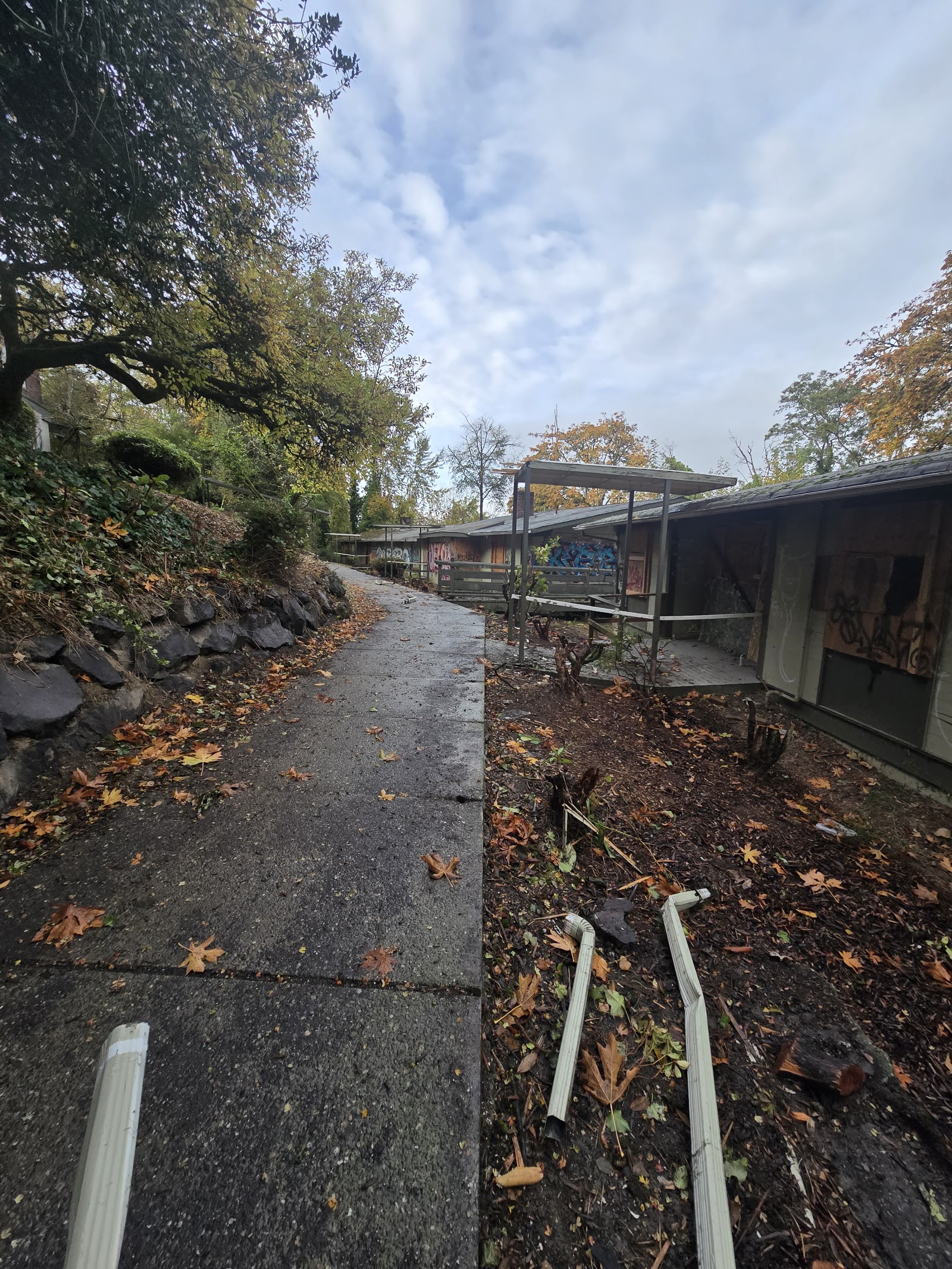 Exterior view showing paved pathway between residential buildings with covered walkways, autumn leaves, and mature tree canopy overhead