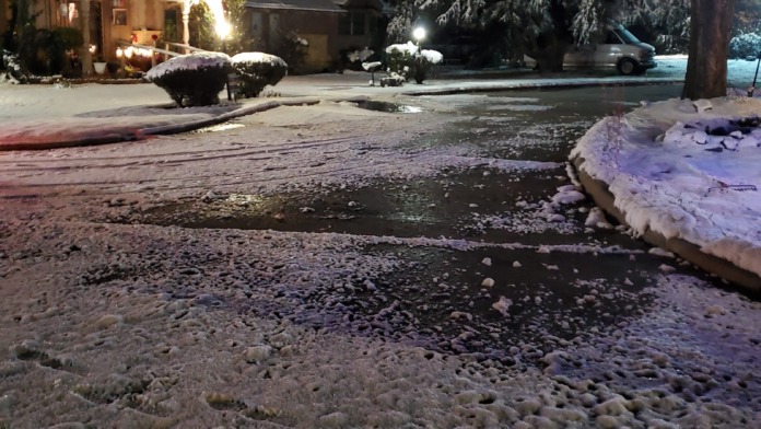 Nighttime exterior of illuminated buildings with snow coverage and surrounding trees