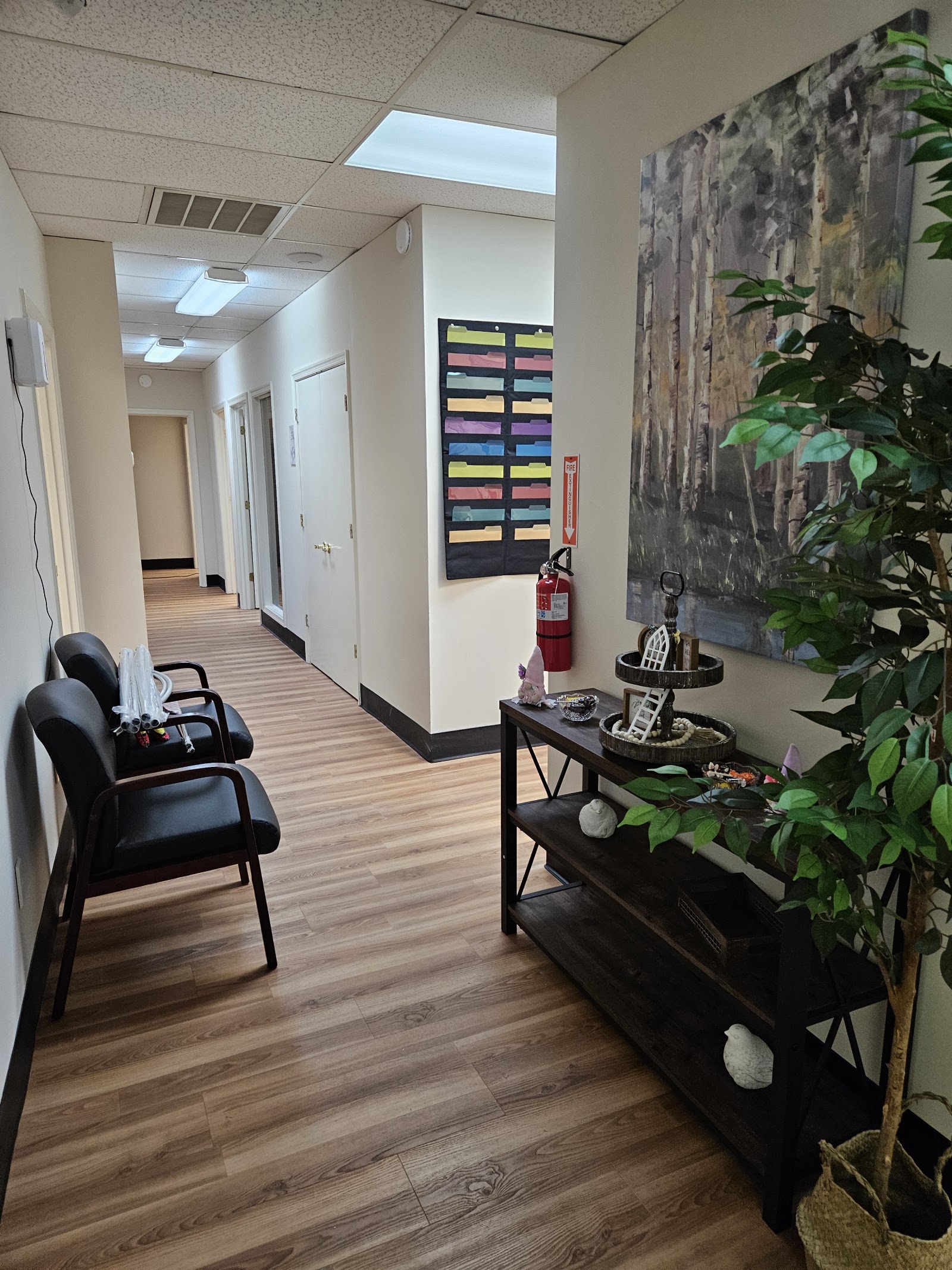Interior hallway with wooden flooring, seating chairs, organizational wall system, plants, and professional décor.