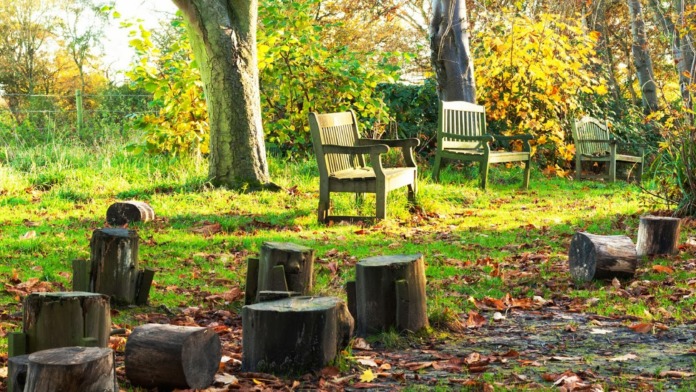 Exterior courtyard featuring wooden log seating areas, green lawn, mature trees with autumn foliage, and rustic fire pit