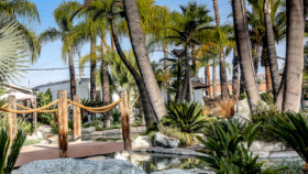 Wellness Counseling Vida Entera