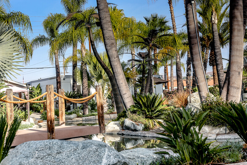 Exterior outdoor space featuring palm trees, wooden bridge, landscaped grounds with boulders and native plants