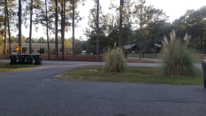 Outdoor landscape view showing facility grounds with tall pine trees, paved pathway, and landscaping features