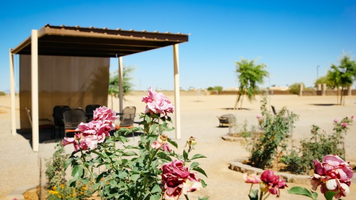 Exterior courtyard patio with wooden pergola, pink roses, desert landscaping, lounge seating, building structure, peaceful garden setting