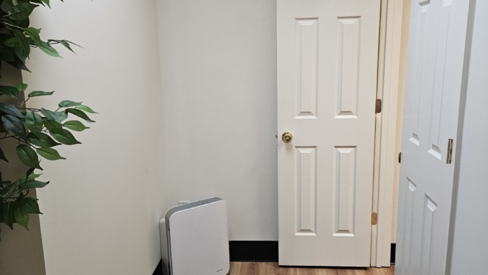 Interior hallway with white wooden doors, decorative plant, air purifier, and wooden flooring.