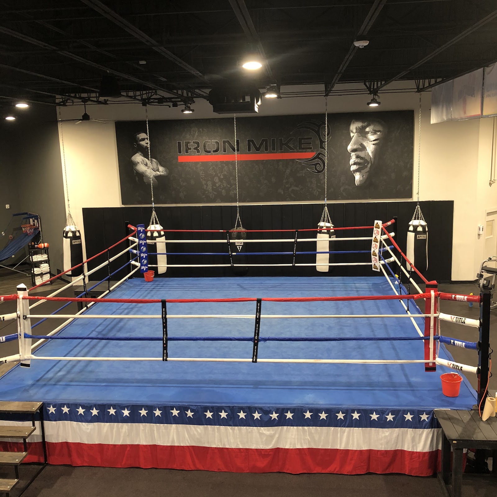 Interior boxing training area with professional ring featuring blue canvas, red and white ropes, and motivational signage on walls