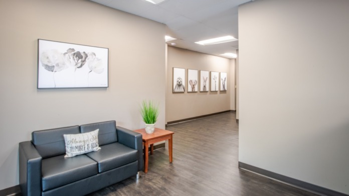 Interior corridor featuring cream walls, ceiling lights, decorative wall art, wooden door, blue armchair, side table with plant, and additional doorways