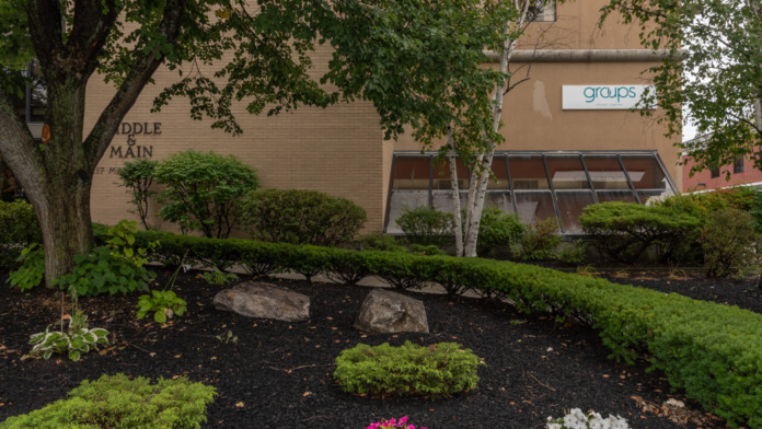 Exterior side view of tan brick building with glass window, flowering shrubs in pink and white, manicured green shrubs, birch trees