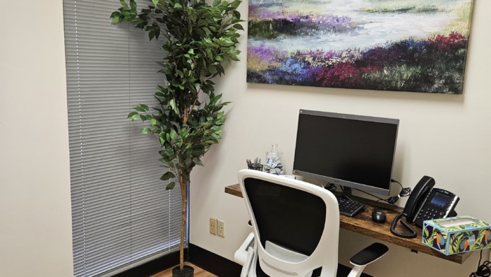 Interior office with desktop computer, white ergonomic chair, landscape painting, green plant, and professional workspace setup.