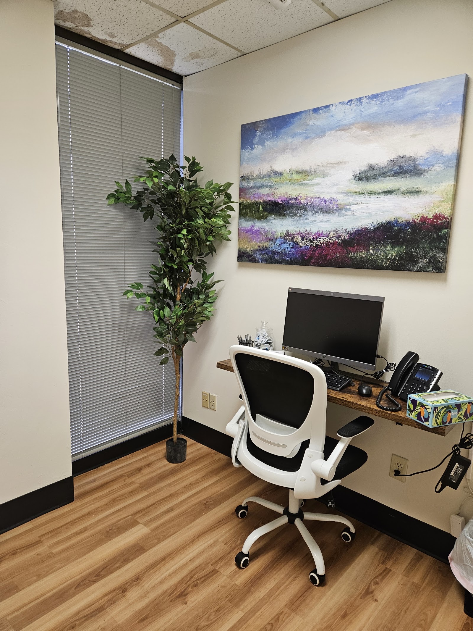 Interior office with desktop computer, white ergonomic chair, landscape painting, green plant, and professional workspace setup.