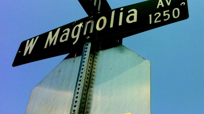 Exterior street view showing W Magnolia Ave intersection sign with Lifeologie branded signage on brick building