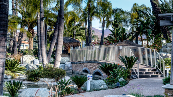 Exterior recreational area with tall palm trees, stone bridge, landscaping, and mountain views in background