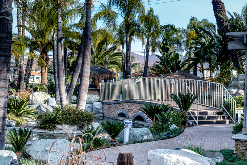 Exterior recreational area with tall palm trees, stone bridge, landscaping, and mountain views in background