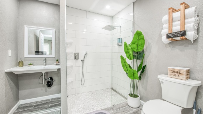 Interior bathroom with modern finishes, sink vanity, shower area, and decorative plant accents