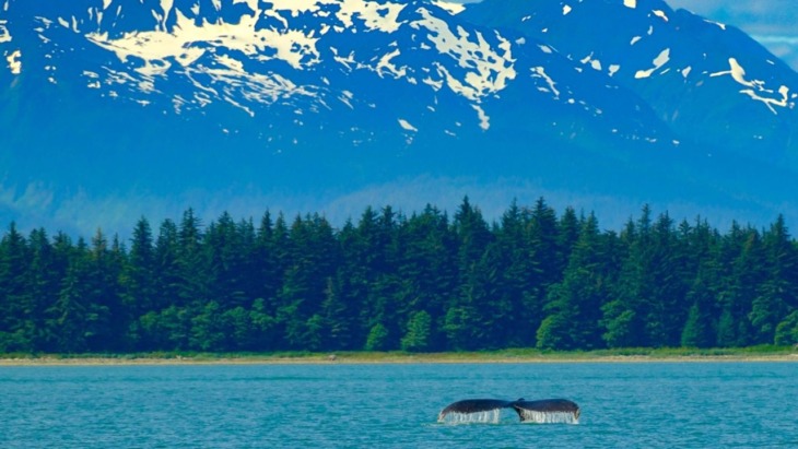 Juneau indigenous gambling treatment