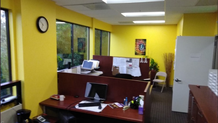Interior office with yellow walls, wooden desks, computers, and natural window lighting.