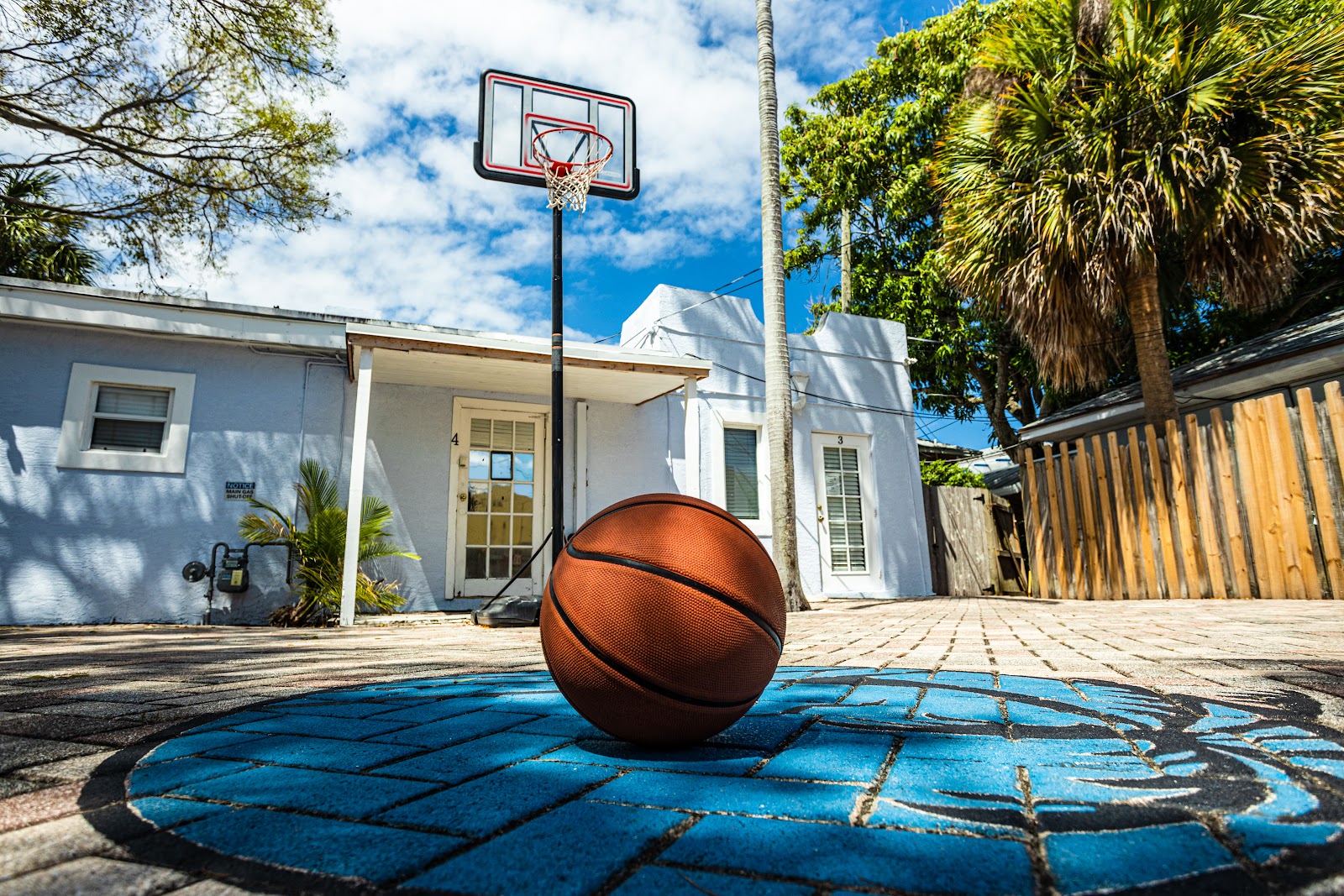 Outdoor recreational area with basketball court markings, hoop, ball, white single-story building, and palm tree.