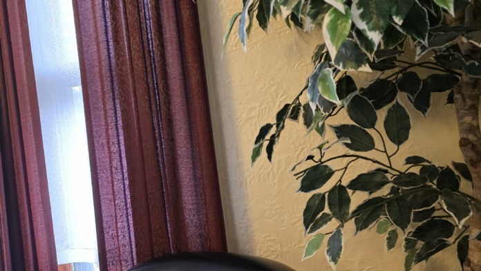 Interior detail of window seating with upholstered chair, ivy plant, and lace curtains