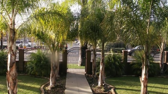 Concrete pathway with ornamental metal gates flanked by tall palm trees leading to facility grounds.
