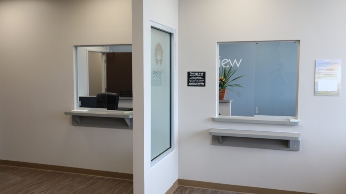 Interior corridor with multiple office windows with blue glass, doorways, potted plant, and wood flooring