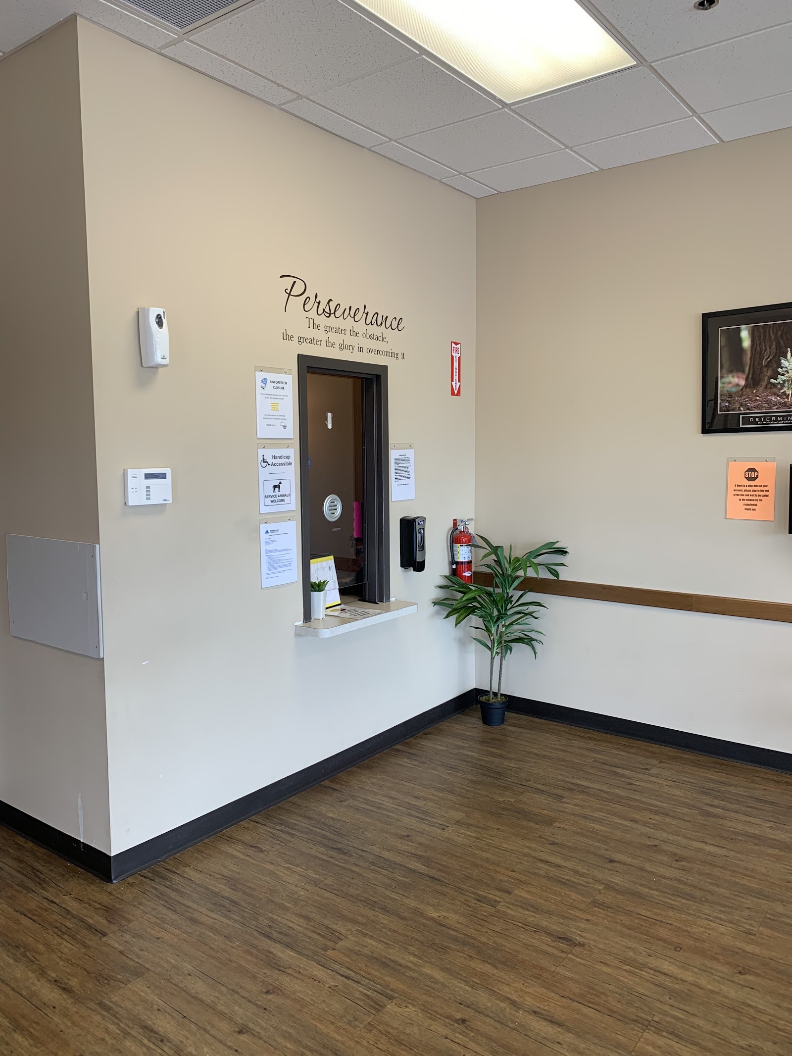 Interior reception counter area with decorative wall text, framed artwork, potted plant, and light wood flooring