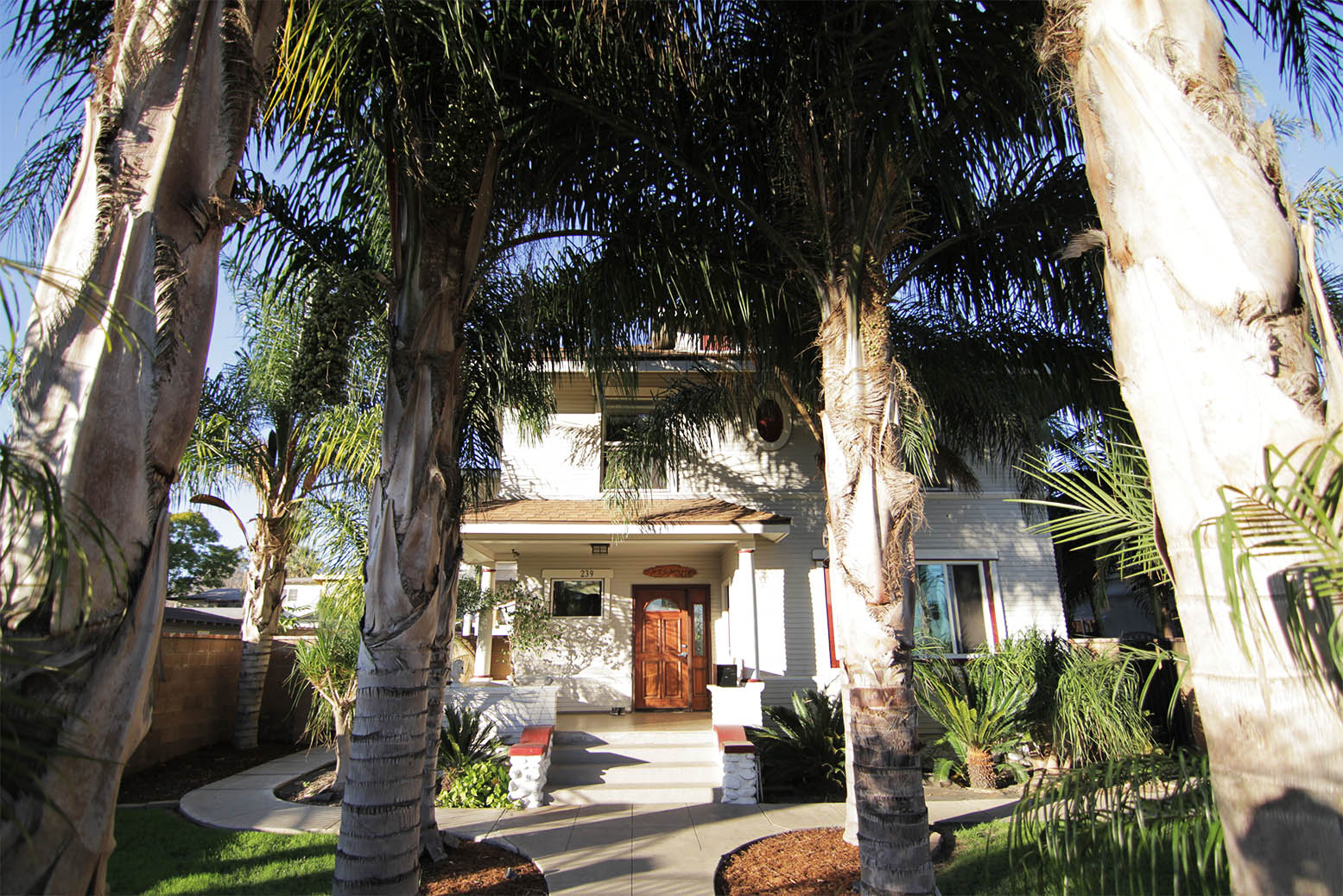 Two-story white building with multiple tall palm trees, brick accents, fencing, and neighboring residential properties.