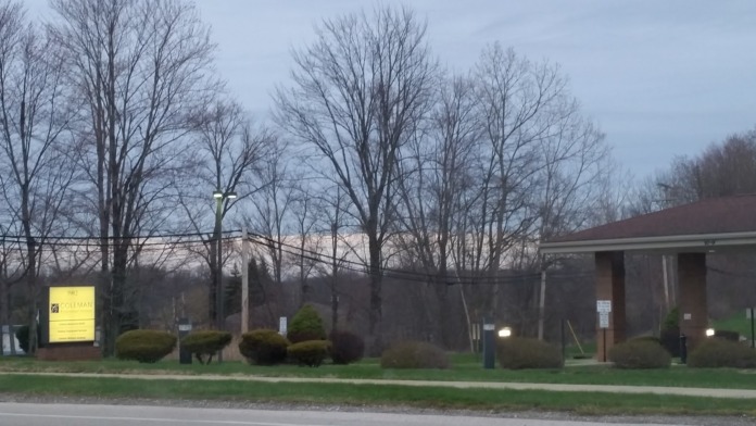 Exterior view of single-story brick building section with covered entrance, bare trees, and landscaped shrubs along property edge.