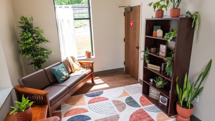 Interior room with brown sofa, window, potted plant, wooden shelving, patterned rug, and wooden door.