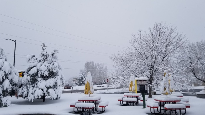 Outdoor picnic tables and benches covered in snow surrounded by bare trees
