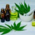 nebraska cannabis survey