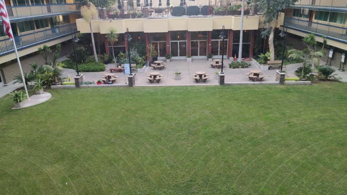 Exterior courtyard with green lawn, multi-story residential buildings, palm trees, and landscaped areas surrounding the facility