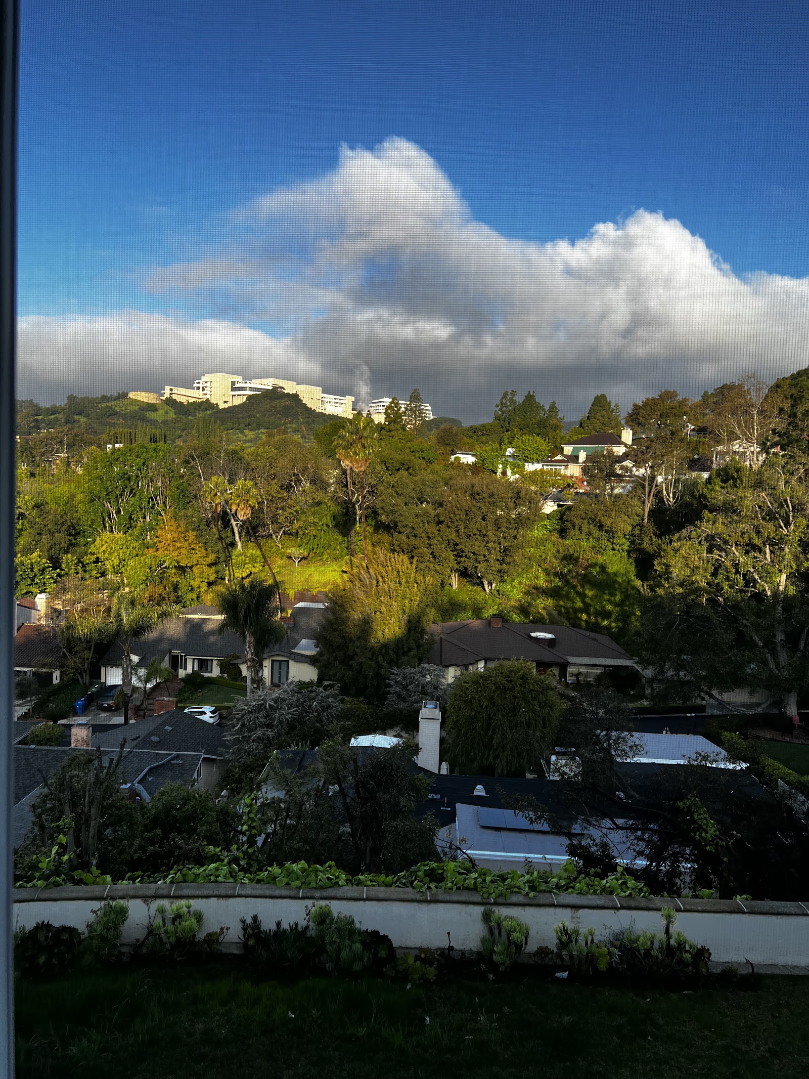 Exterior landscape view showing residential hills, mature trees, neighborhood homes, and cloudy sky from facility elevation.